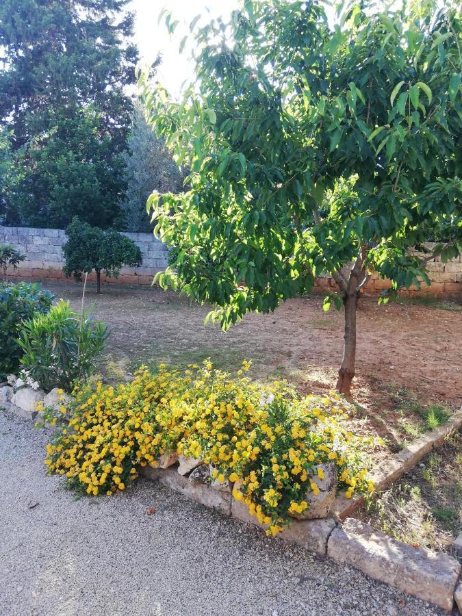 Il Giardino Di Mela Villa Collemeto Dış mekan fotoğraf